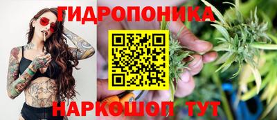 герыч Бийск
