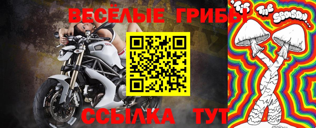 Екатеринбург  Галлюциногенные грибы GOLDEN TEACHER  Вход с VPN 