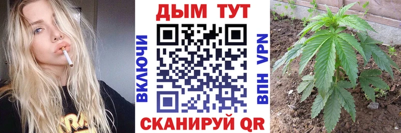 Конопля план  Екатеринбург 